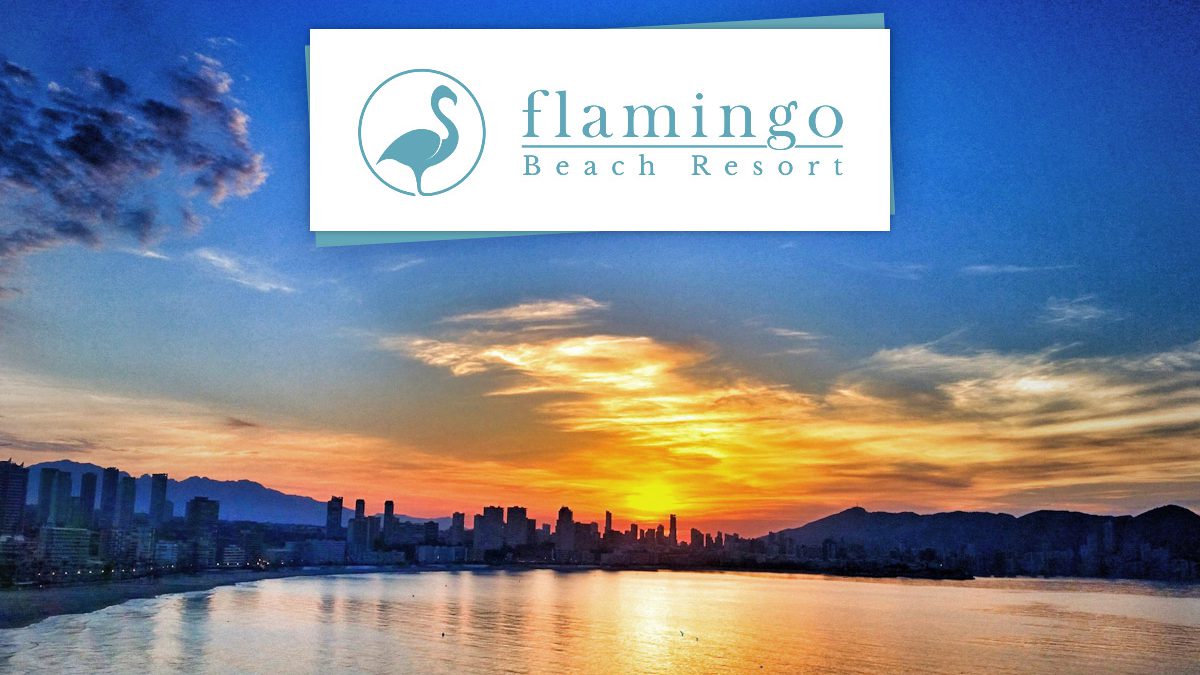 Summer At 100 Hotel Flamingo Beach Resort Benidorm